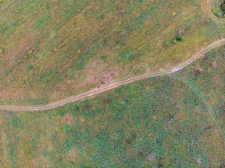 Road in the green forest in summer