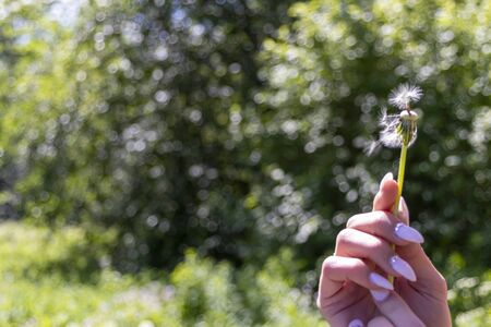 Happy beautiful woman blowing dandelion over sky background, having fun and playing outdoor, teen...