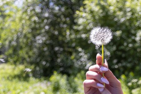 Happy beautiful woman blowing dandelion over sky background, having fun and playing outdoor, teen...