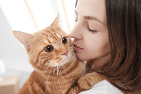 A young girl holds a sneaky red cat in her arms on a white background.の写真素材