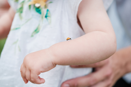 Ladybug on a child's hand on a summer day outdoor. The concept of family and child care.の写真素材