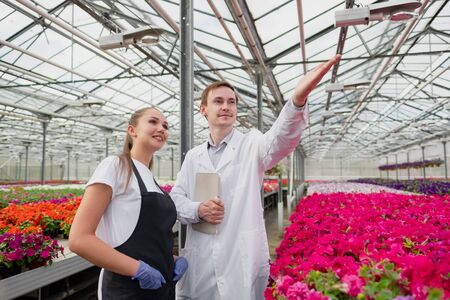 A young man and woman in white coats and black aprons, scientists, biologists or agronomists examine and analyze flowers and green plants in the greenhouse. Selection and care of plants.の写真素材