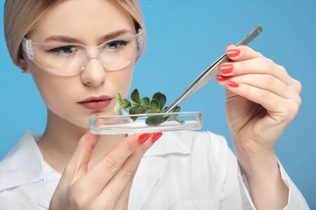 Young beautiful blonde woman in white coat and goggles, blue background. Holds tweezers and plant...