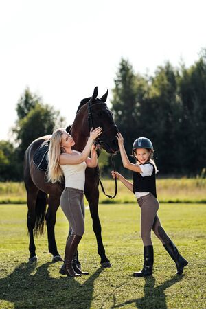 Mother and daughter riders and jockeys on a green field hug a brown horse. Mentor and student.の写真素材