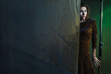 Fashion photo session in the studio. Beautiful brunette woman model. Yellow leopard dress. Studio racks and flashes. Yellow and green background.の写真素材
