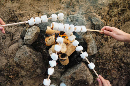 A group of friends relax in a forest camp. Men and women prepare a marshmallow on a bonfire. They...