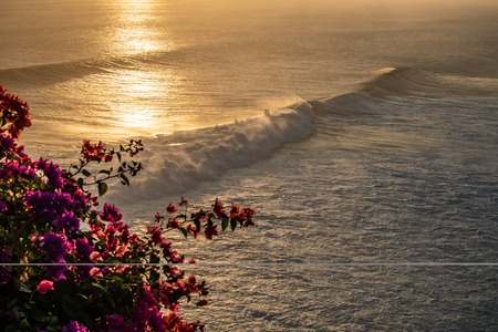 waves and red flowers on sunset in Bali Asia