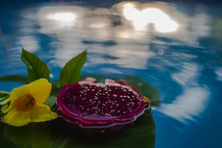 Exotic Dragon fruit dropped into water isolated on white.の写真素材