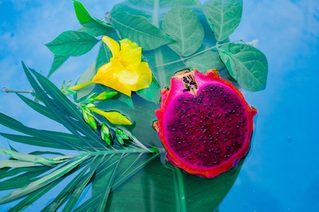 Exotic Dragon fruit dropped into water isolated on white.の写真素材