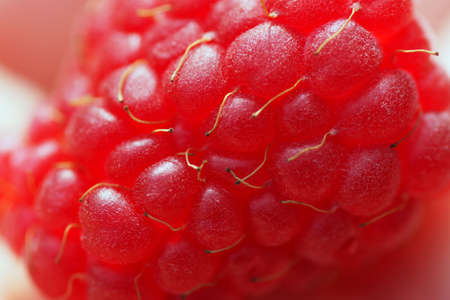 Part of raspberries. Close-up. Macro.                               の写真素材
