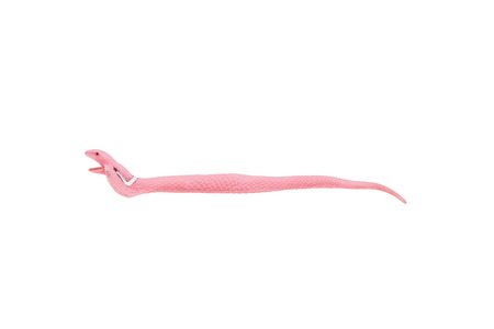 Toy pink snake. Isolated on white.の写真素材
