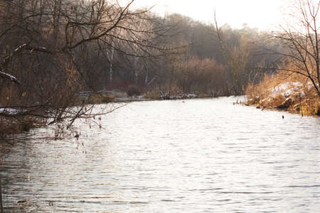 River and trees in late autumn. Landscape.