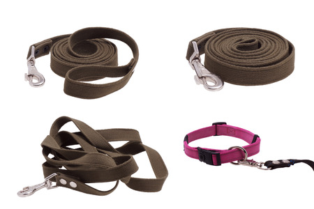Collage. Leash and collar for dogs. Isolated on white.                              の写真素材