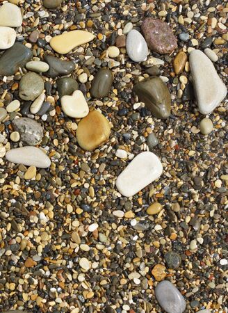 Pebbles on the seashore. Close-up.                                 の写真素材