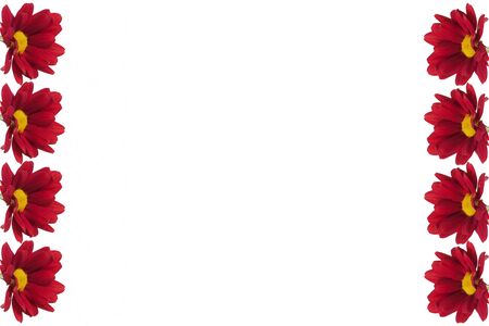 Frame for text with red chrysanthemum on the sides. Isolated on white.の写真素材