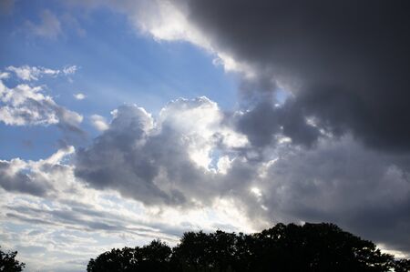 Built animals in the clouds blue sky dark silhouetteの写真素材