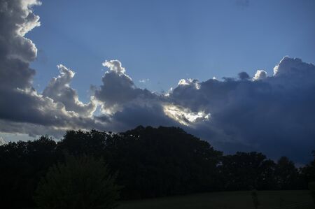 Built animals in the clouds blue sky dark silhouetteの写真素材
