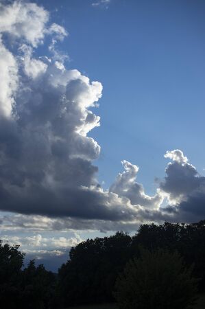 Built animals in the clouds blue sky dark silhouetteの写真素材