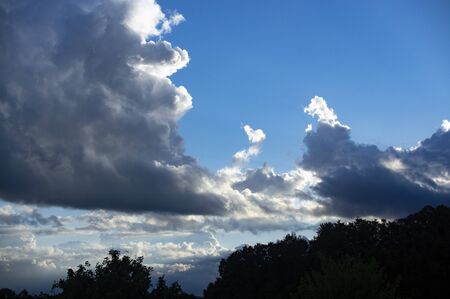 Built animals in the clouds blue sky dark silhouetteの写真素材