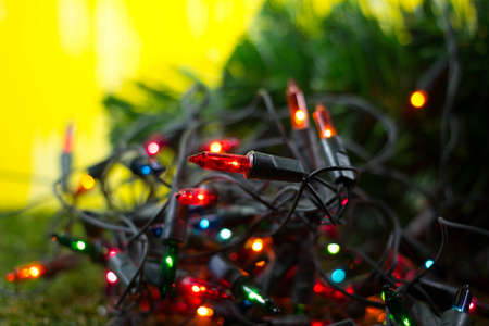 Christmas Decoration - Lights on Yellow Background with Selective Focus on Green Grassesの写真素材