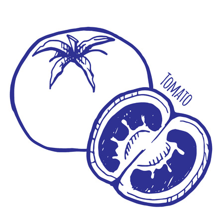 tomato. Vector illustration.のイラスト素材