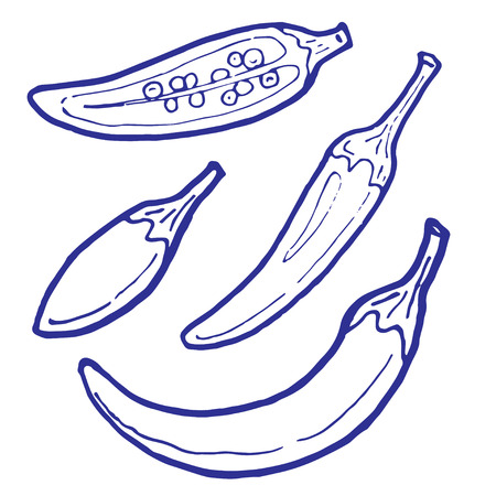 Chilli peppers ink sketches set - Illustrationのイラスト素材