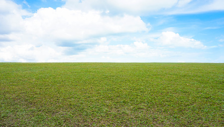 green meadow and blue skyの写真素材