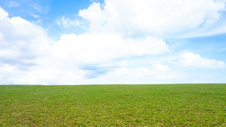 green meadow and blue skyの写真素材