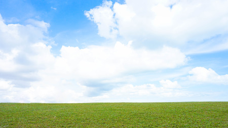 green meadow and blue skyの写真素材