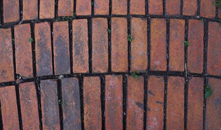 Brick wallの写真素材