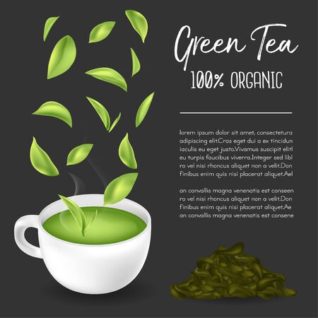 Green tea,Green tea leaf. Vector illustrationのイラスト素材