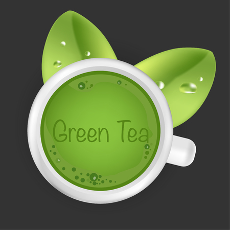 Green tea,Green tea leaf. Vector illustrationのイラスト素材
