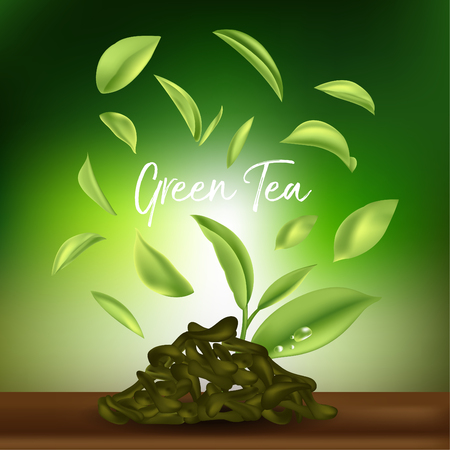 Green tea,Green tea leaf. Vector illustrationのイラスト素材