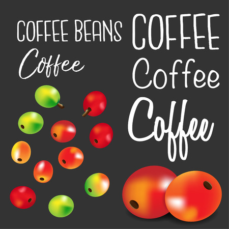 Coffee beans.Vector illustrationのイラスト素材