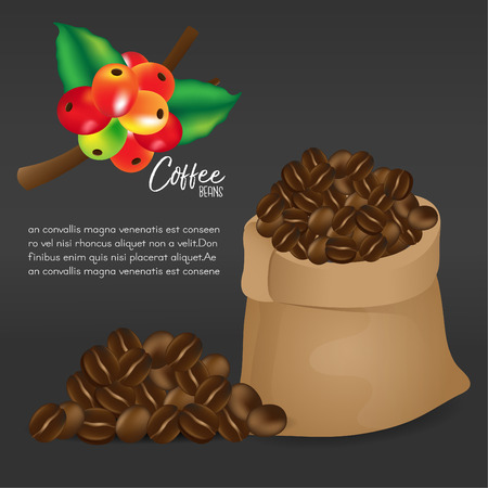 Coffee beans on white background.Vector illustrationのイラスト素材