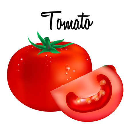 Tomato on white background.Vector illustrationのイラスト素材