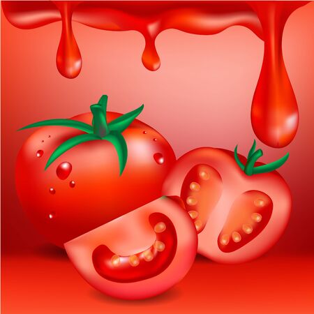 Tomato.Vector illustrationのイラスト素材