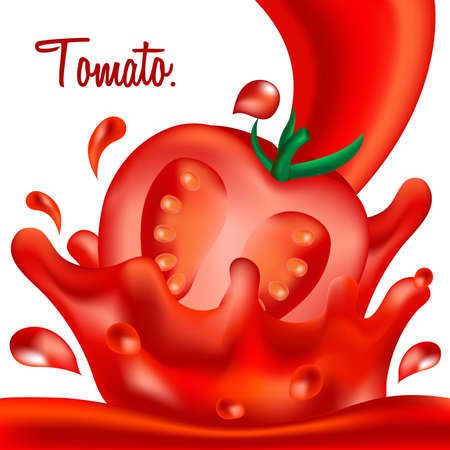 Tomato on white background.Vector illustrationのイラスト素材