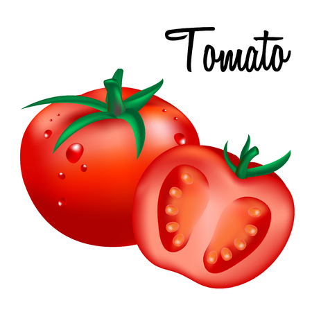 Tomato on white background.Vector illustrationのイラスト素材