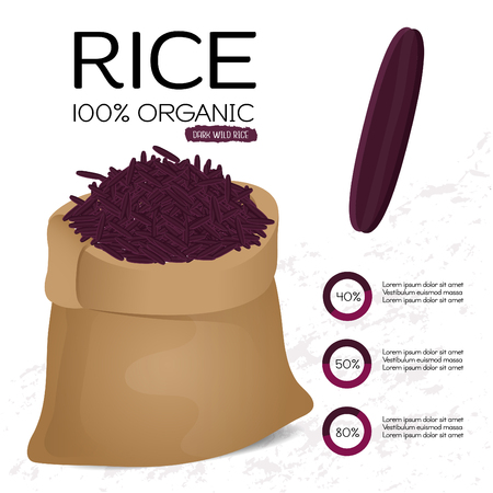 Rice grains. Vector illustrationのイラスト素材