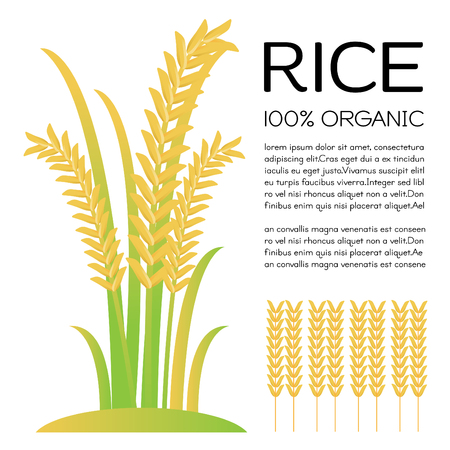 Rice grains. Vector illustrationのイラスト素材