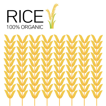 Rice grains. Vector illustrationのイラスト素材