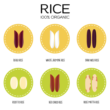 Rice grains. Vector illustrationのイラスト素材