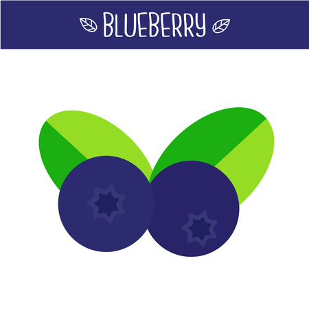 Blueberry Vector illustration.のイラスト素材