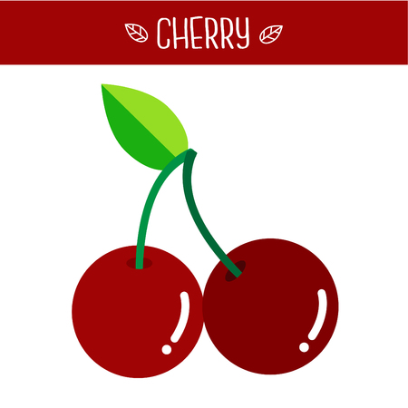 cherry fruit Vector illustration.のイラスト素材