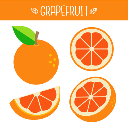 Grapefruit Vector illustration.のイラスト素材