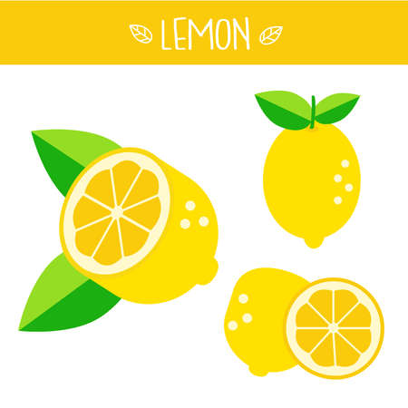 Lemon Vector illustration.のイラスト素材