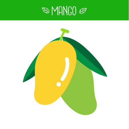 Mango Vector illustrationのイラスト素材