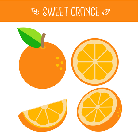 Sweet orange Vector illustration.のイラスト素材