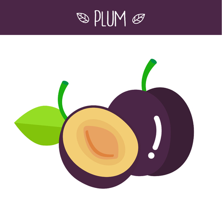 Plum Vector illustration.のイラスト素材